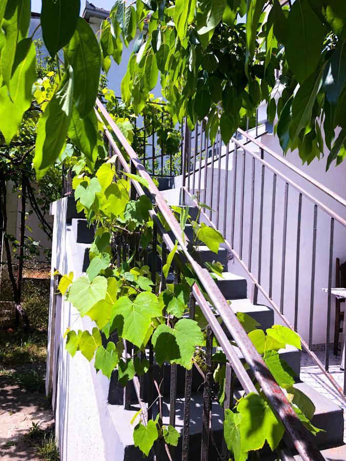 Renata Holiday Apartments Ulcinj Exteriör bild